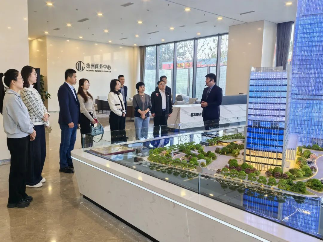 深药控股（深圳）有限公司到德达集团交流座谈